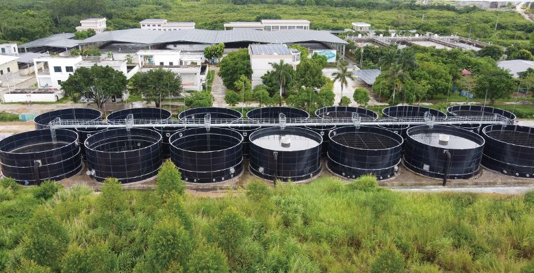 廣東工業(yè)園污水處理項(xiàng)目