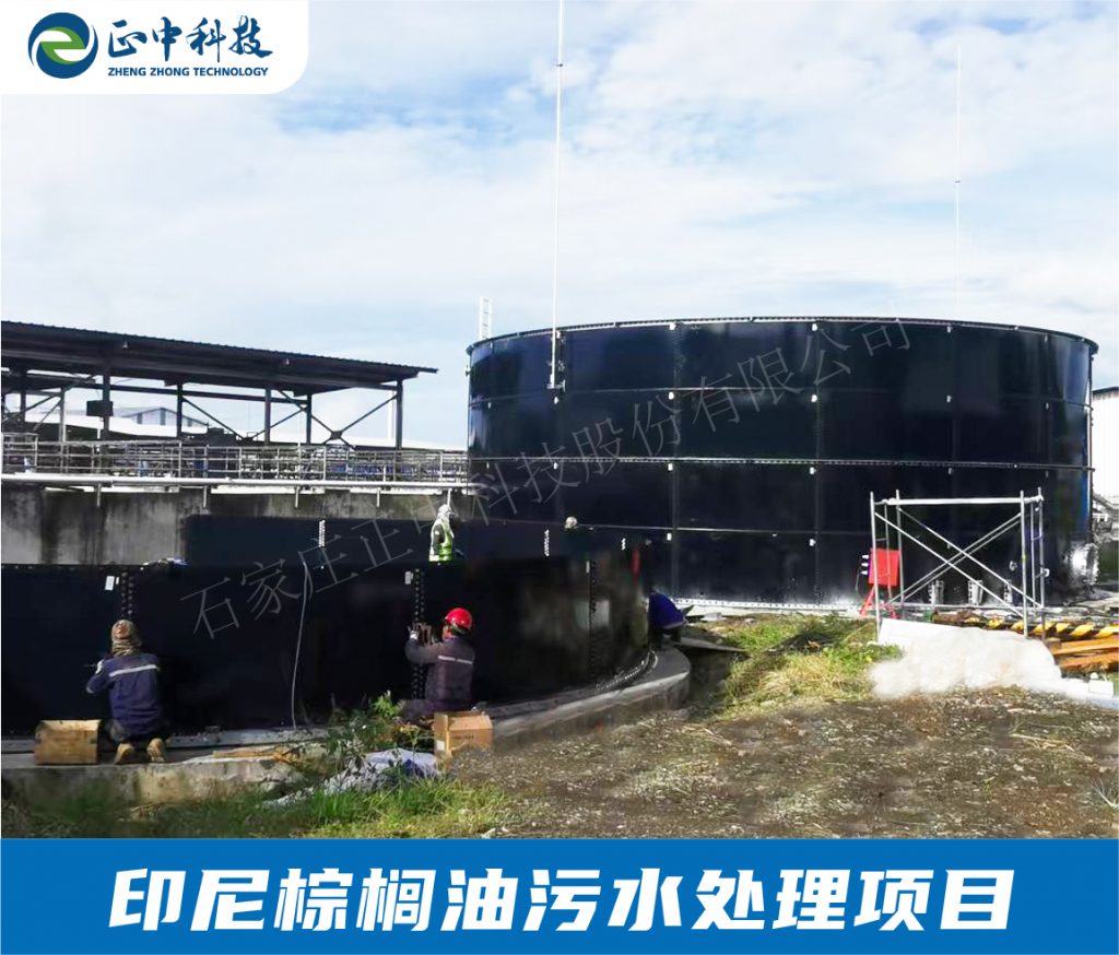 棕櫚油污水處理項目